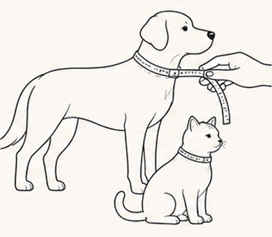 Measuring the base of a dog or cat's neck