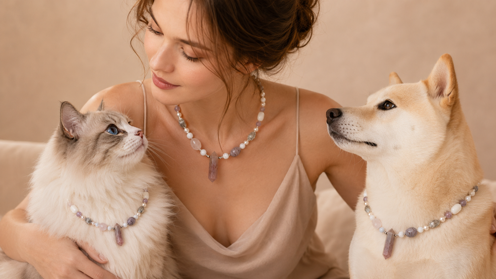 February Birthstone Amethyst: Wisdom, Calm, and the Soulful Bond of Matching Pet-Owner Jewelry