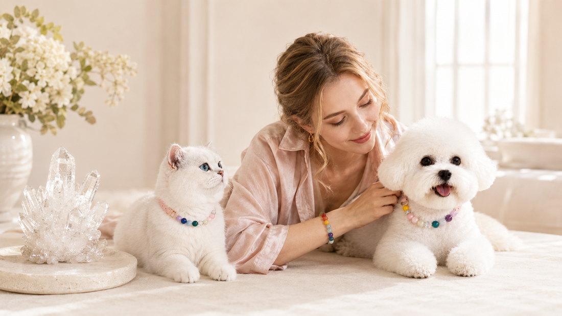 Clear Quartz Meaning: Energy Amplification, Purification, and Matching Pet Collar Sets