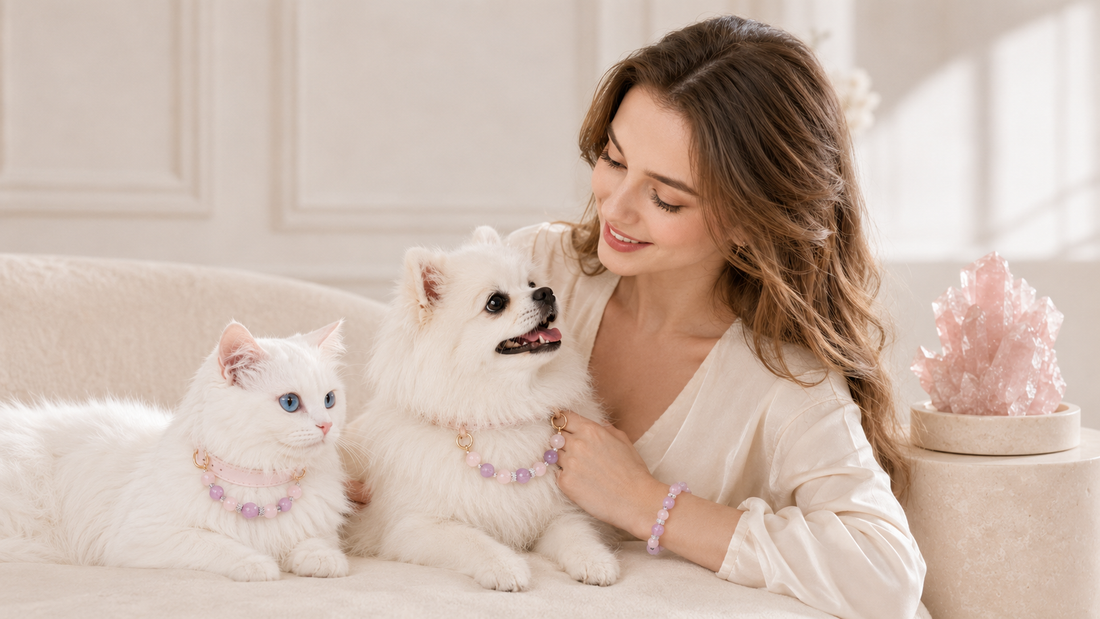 Rose Quartz Meaning: Unconditional Love and Matching Pet Collar Sets