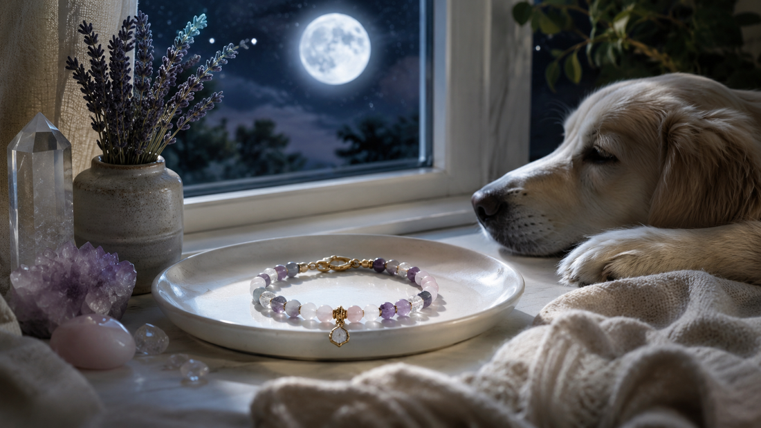 Moonlight Rituals: How to Care for Your Pet’s Crystal Necklace
