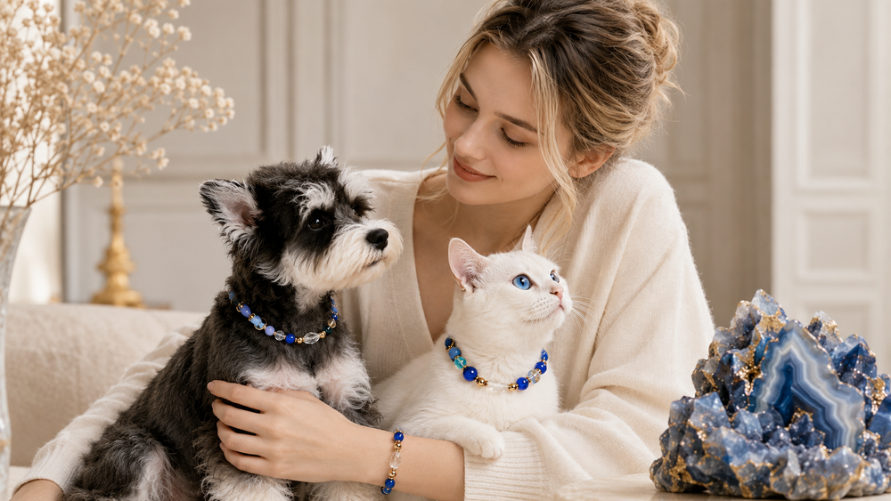 Lapis Lazuli Meaning: Stability, Protection, and Matching Pet Collar Sets