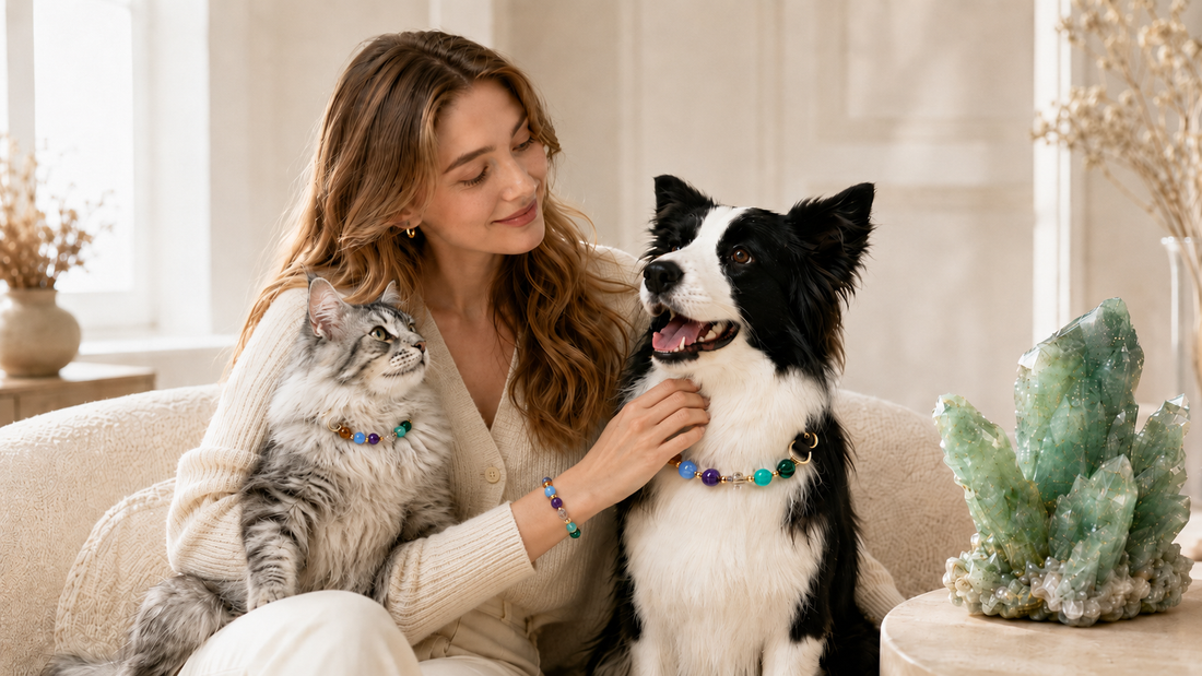Malachite Meaning: Growth, Recovery, and Matching Pet Collar Sets