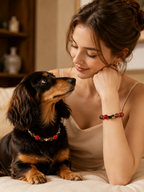 Red Agate Matching Pet Collar & Owner Bracelet Set