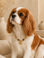 November Citrine Matching Pet & Owner Necklace