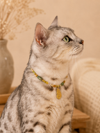 August Peridot Matching Pet & Owner Necklace
