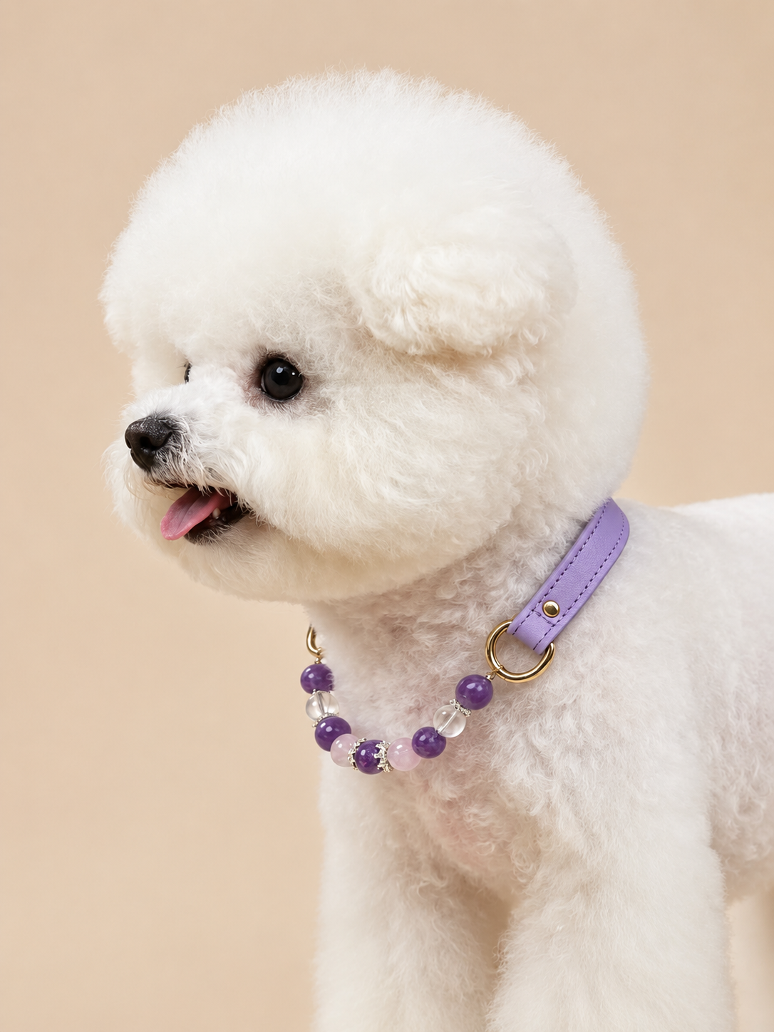 Amethyst Matching Pet Collar & Owner Bracelet Set