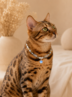October Opal-Inspired Matching Pet & Owner Necklace