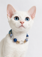 Lapis Lazuli Matching Pet Collar & Owner Bracelet Set