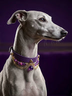 Amethyst Leather Pet Collar