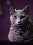 Amethyst Leather Pet Collar