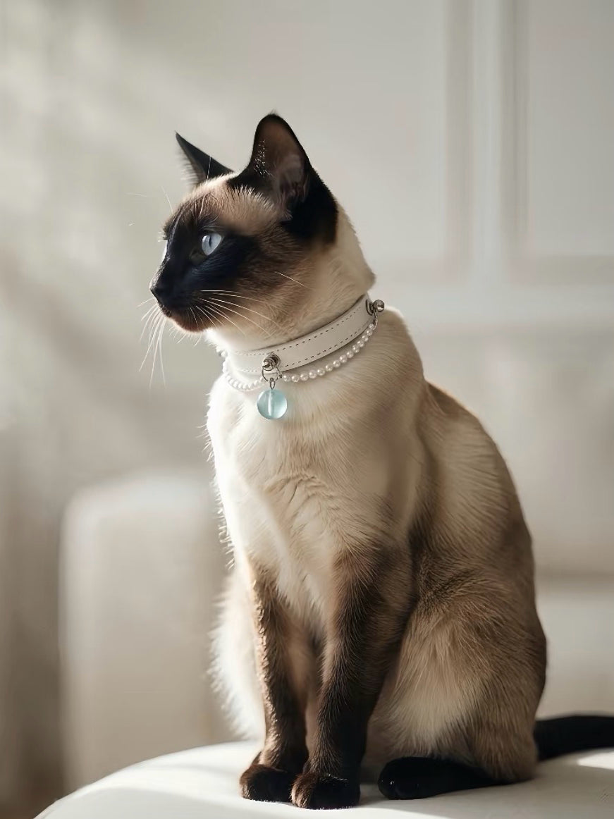 Aquamarine White Leather Pet Collar