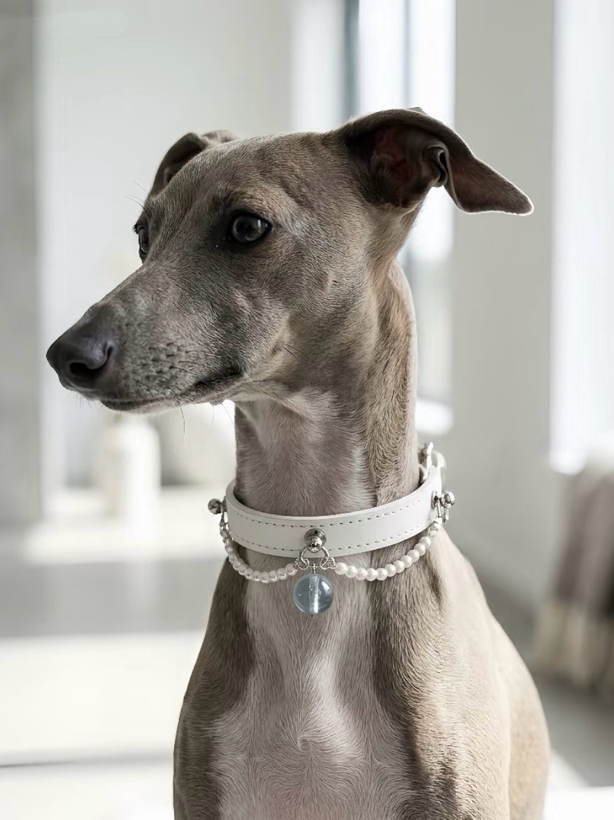 Aquamarine White Leather Pet Collar
