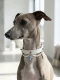 Aquamarine White Leather Pet Collar