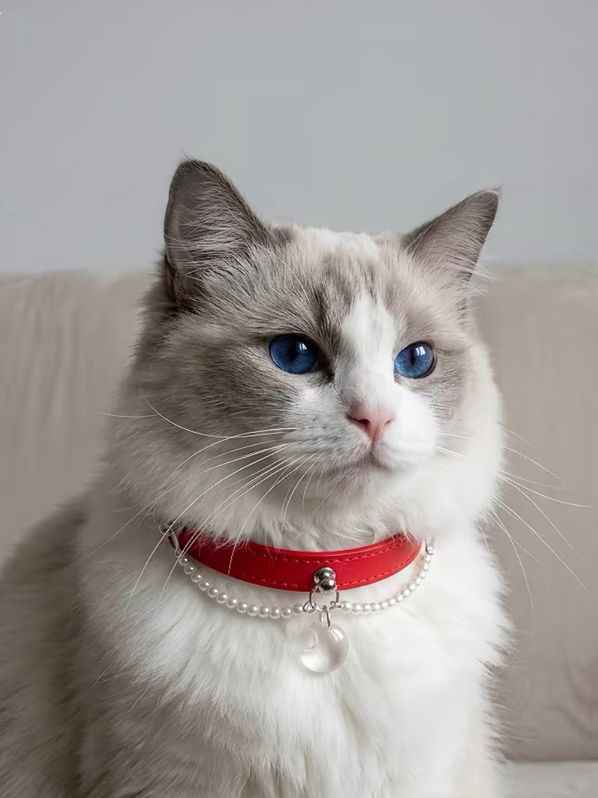 Clear Quartz Red Leather Pet Collar