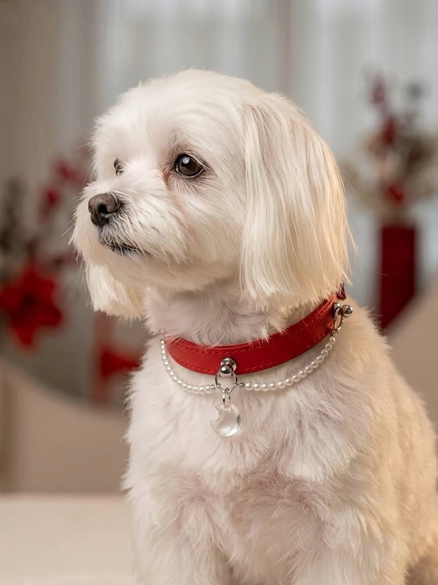 Clear Quartz Red Leather Pet Collar