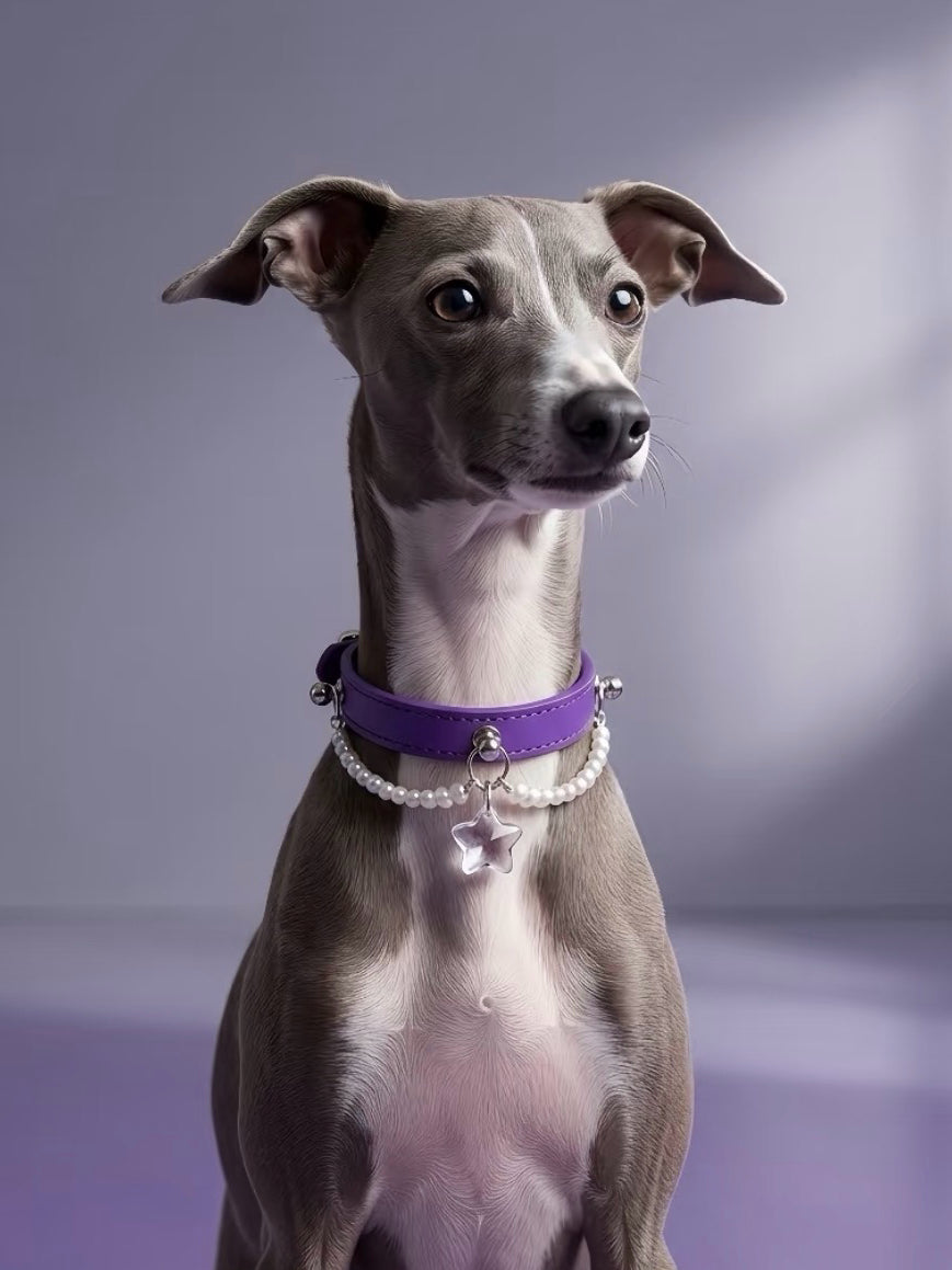 Clear Quartz Purple Leather Pet Collar