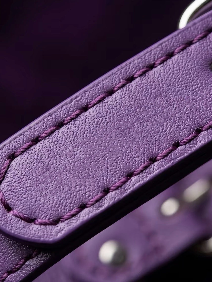 Clear Quartz Purple Leather Pet Collar