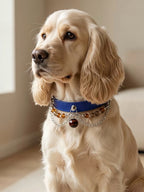 Red Tiger’s Eye Leather Pet Collar