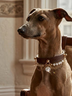 White Aze & White Agate Leather Pet Collar