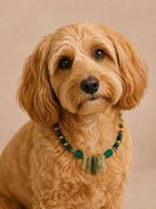 May Malachite Matching Pet & Owner Necklace