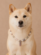 February Amethyst Matching Pet & Owner Necklace
