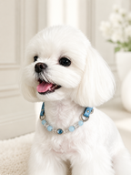 Aquamarine Matching Pet Collar & Owner Bracelet Set