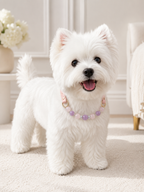 Rose Quartz Matching Pet Collar & Owner Bracelet Set