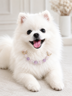 Rose Quartz Matching Pet Collar & Owner Bracelet Set