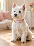 Multi-Gemstone Chakra Pink Leather Pet Collar