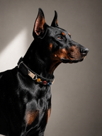 Tiger’s Eye Chakra Black Leather Pet Collar