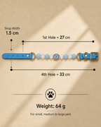 Aquamarine Matching Pet Collar & Owner Bracelet Set