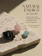 Wire-Wrapped Raw Crystal Pet Charm