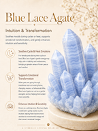 Blue Lace Agate Matching Pet Collar & Owner Bracelet Set
