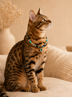 December Turquoise Matching Pet & Owner Necklace