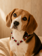 July Coral Matching Pet & Owner Necklace