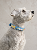 Multi-Gemstone Chakra Blue Leather Pet Collar