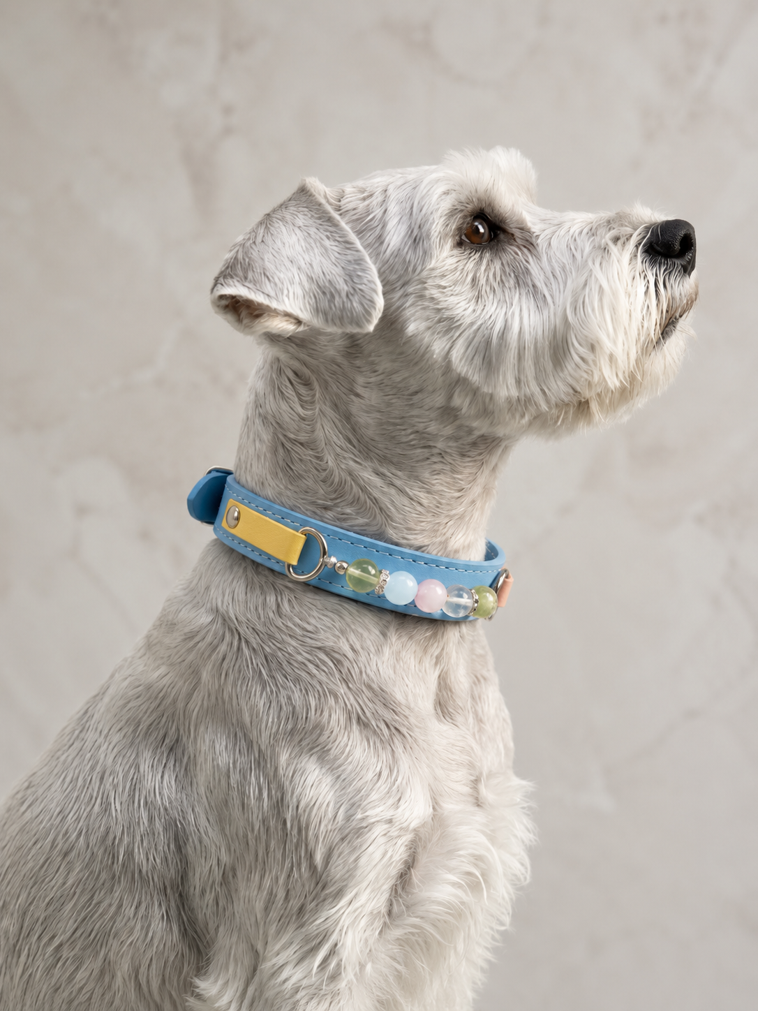 Multi-Gemstone Chakra Blue Leather Pet Collar