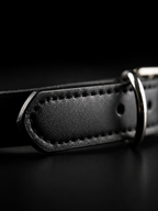 Tiger’s Eye Chakra Black Leather Pet Collar