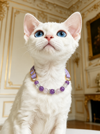 Amethyst Matching Pet Collar & Owner Bracelet Set