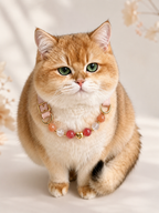 Strawberry Quartz Matching Pet Collar & Owner Bracelet Set