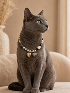 June Moonstone Matching Pet & Owner Necklace