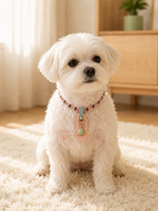 Emerald Handwoven Pet Necklace