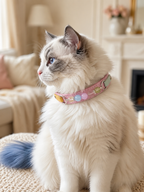 Multi-Gemstone Chakra Pink Leather Pet Collar