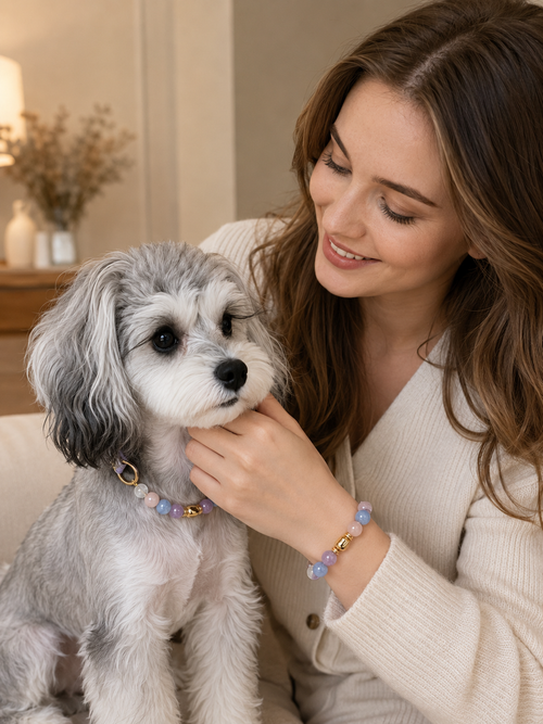 Blue Lace Agate Matching Pet Collar & Owner Bracelet Set