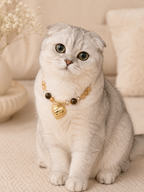November Citrine Matching Pet & Owner Necklace
