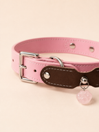 Rose Quartz Möbius Loop Leather Pet Collar