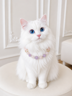 Rose Quartz Matching Pet Collar & Owner Bracelet Set
