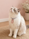 Rose Quartz Handwoven Pet Necklace