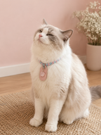 Rose Quartz Handwoven Pet Necklace